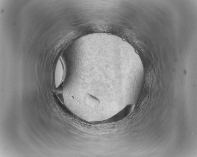 X0000087360027200705111656