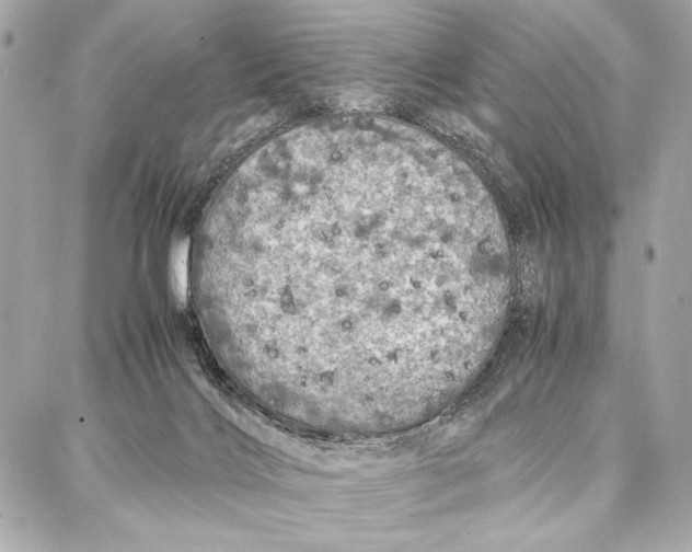 X0000087360028200705111656