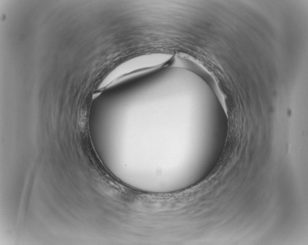 X0000087360033200705111656