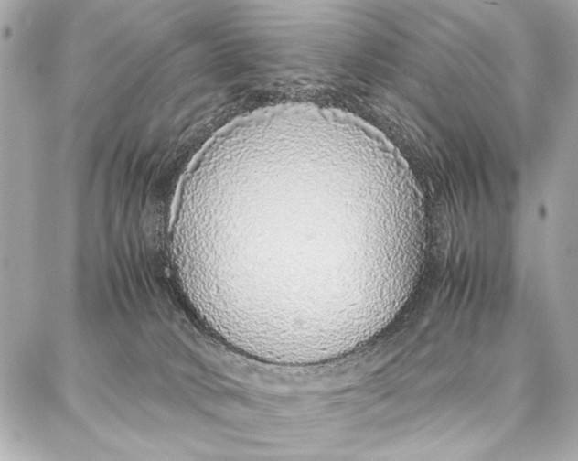 X0000087360034200705111656