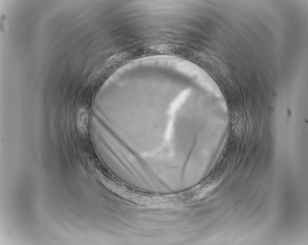 X0000087360036200705111656