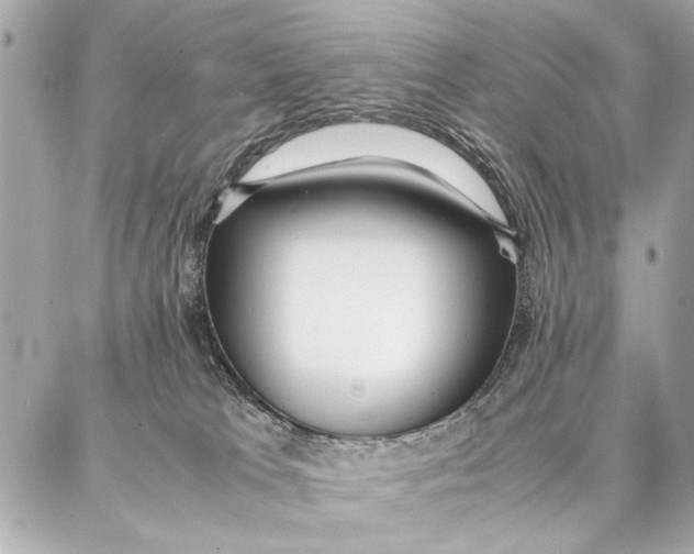 X0000087360037200705111656