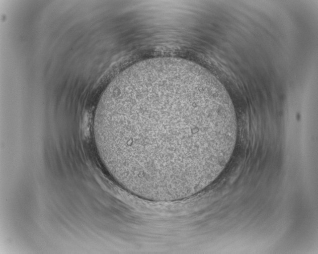 X0000087360038200705111656