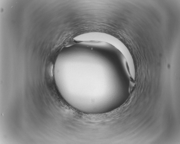 X0000087360041200705111656