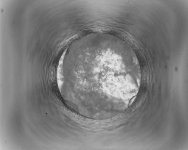 X0000087360043200705111656