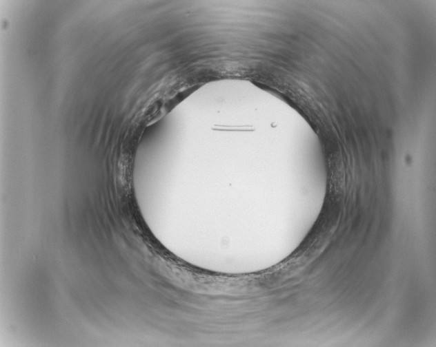 X0000087360044200705111656