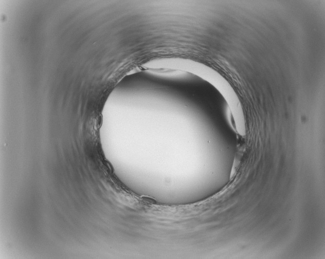 X0000087360045200705111656