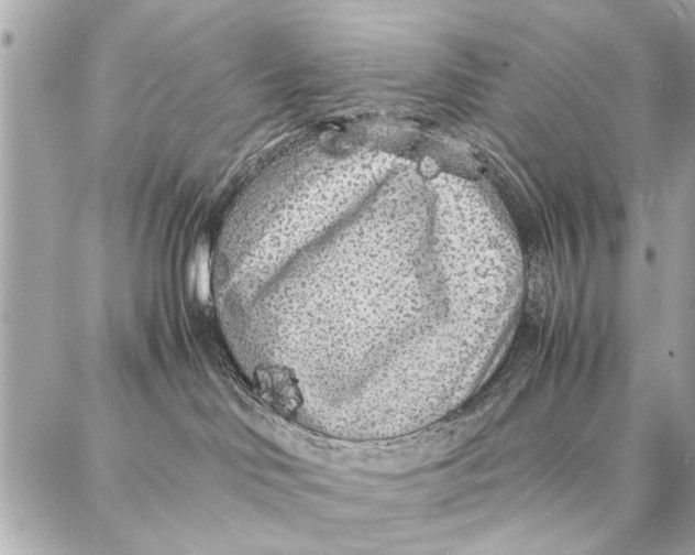 X0000087360046200705111656