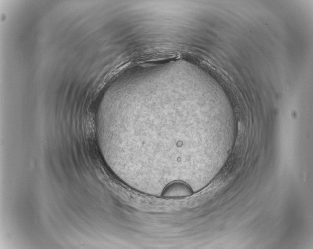 X0000087360048200705111656