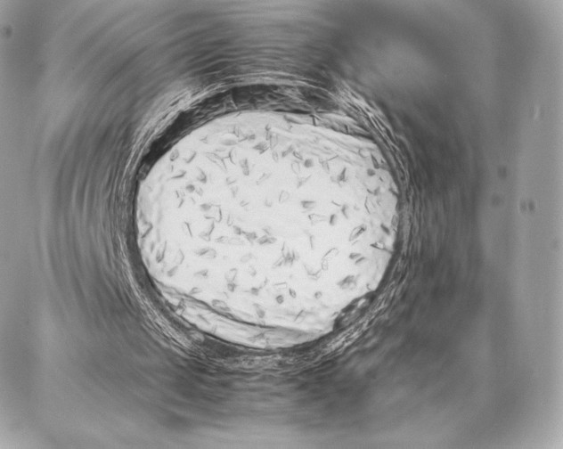 X0000087360049200705111655