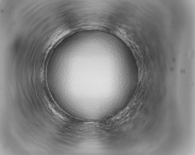 X0000087360050200705111655