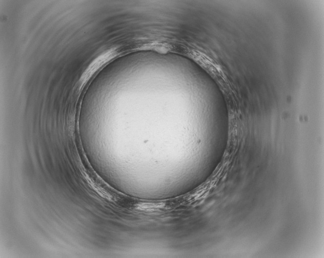 X0000087360051200705111655