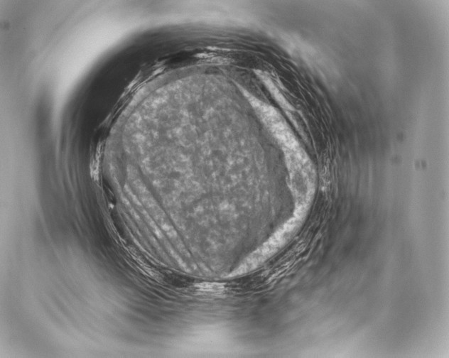 X0000087360052200705111655