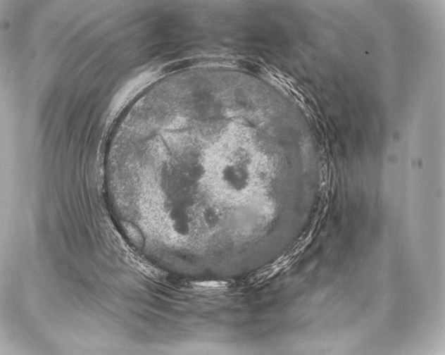 X0000087360053200705111655