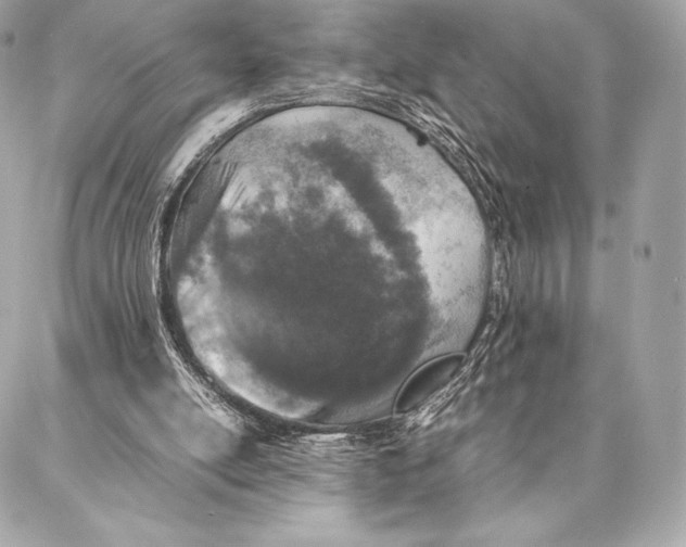 X0000087360054200705111655