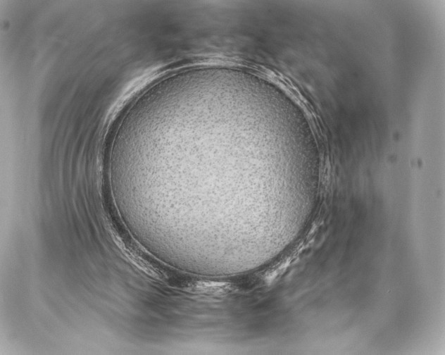 X0000087360055200705111655