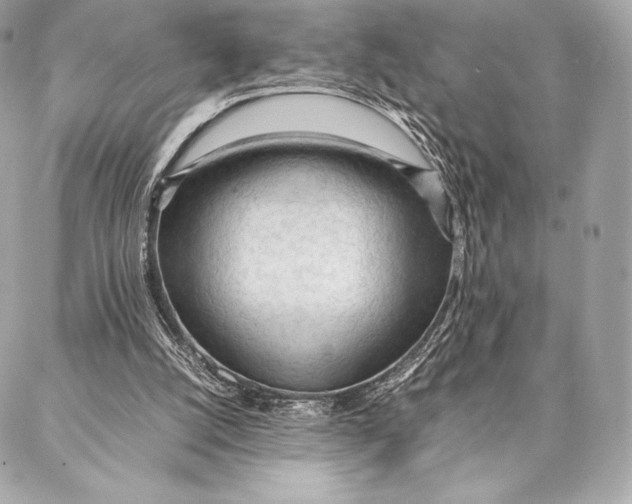 X0000087360056200705111655