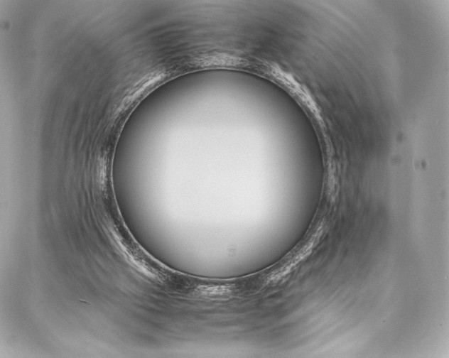 X0000087360057200705111655