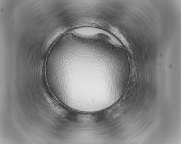 X0000087360058200705111655