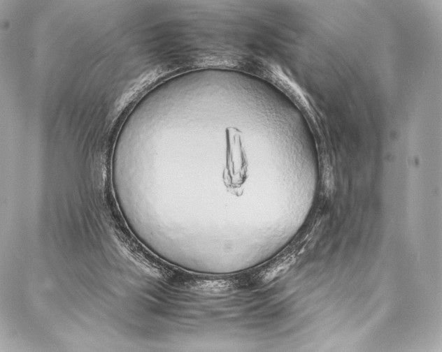 X0000087360059200705111655