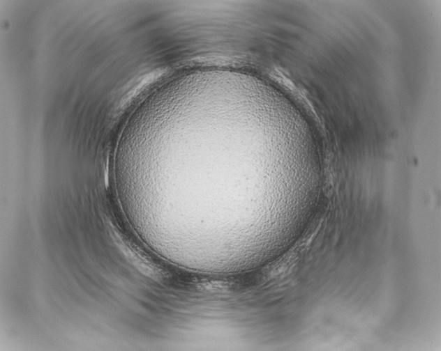 X0000087360062200705111655