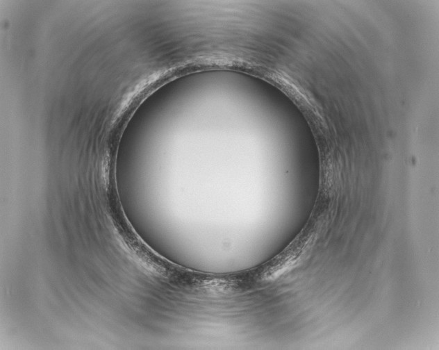 X0000087360064200705111655