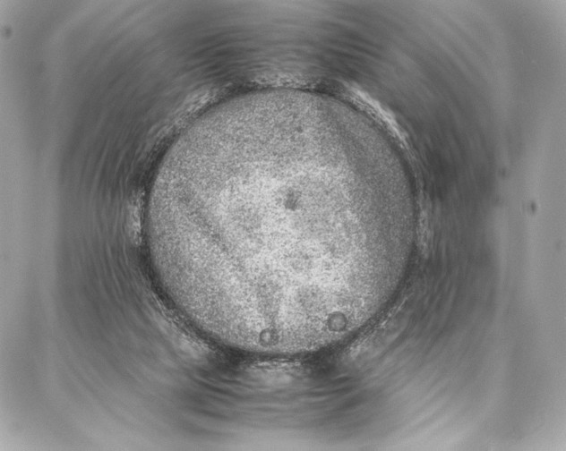 X0000087360065200705111655