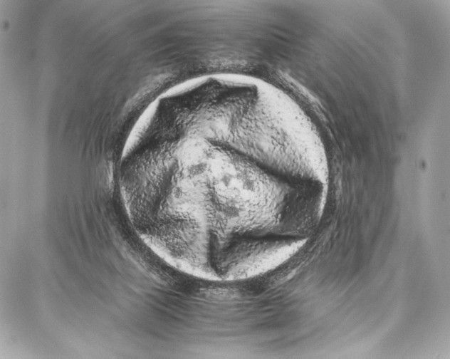 X0000087360067200705111655