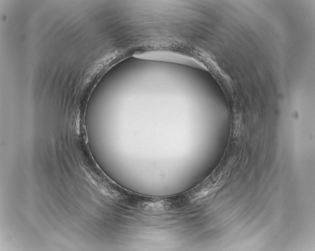 X0000087360068200705111655