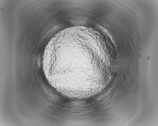 X0000087360069200705111655