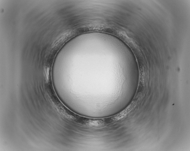 X0000087360070200705111655