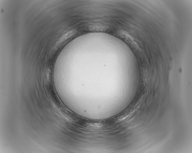 X0000087360071200705111655