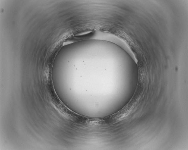 X0000087360072200705111655