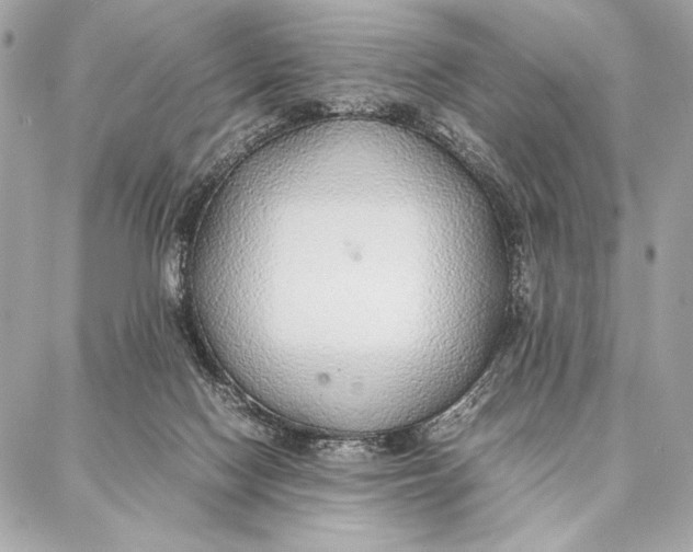 X0000087360074200705111655