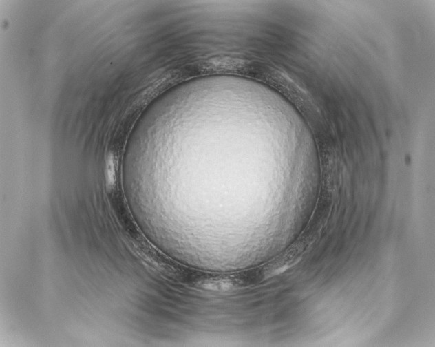 X0000087360075200705111655