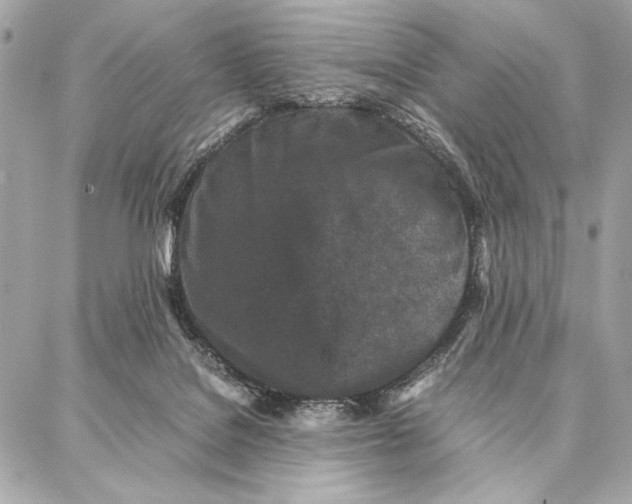 X0000087360076200705111655