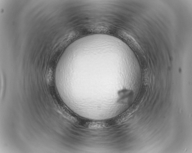 X0000087360077200705111655