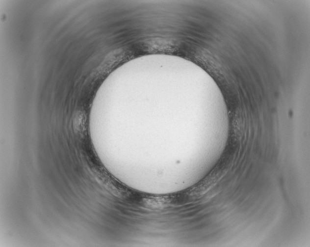 X0000087360079200705111655