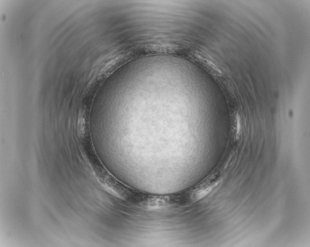 X0000087360080200705111655