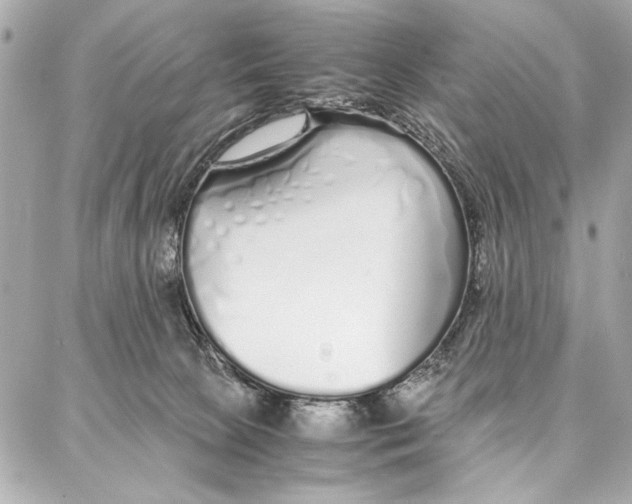 X0000087360081200705111655