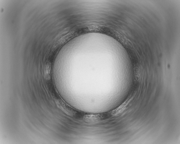 X0000087360082200705111655