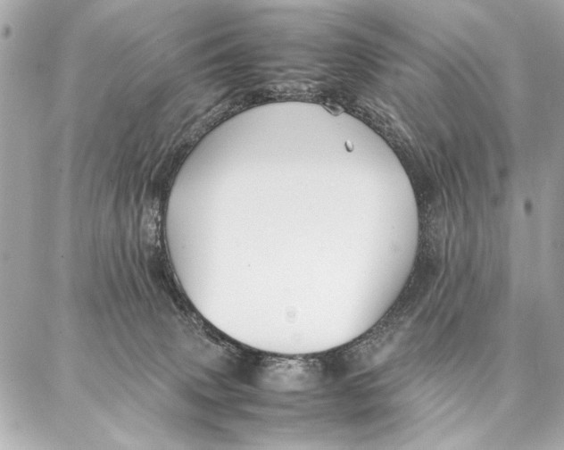 X0000087360083200705111655