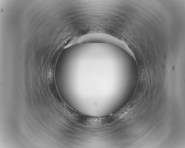 X0000087360084200705111655