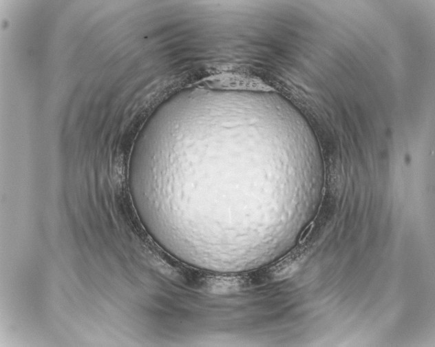 X0000087360085200705111656