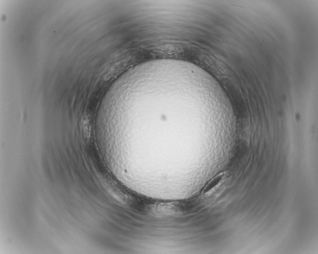 X0000087360086200705111656