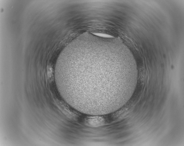 X0000087360087200705111656