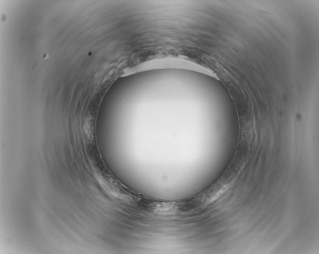 X0000087360088200705111656