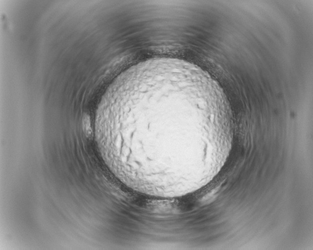 X0000087360089200705111656