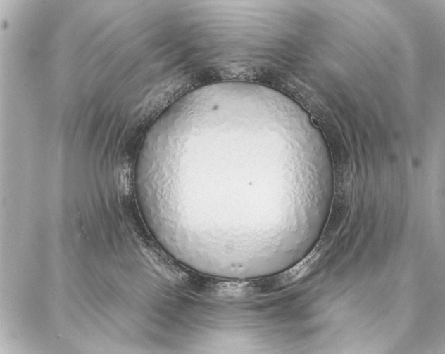 X0000087360090200705111656