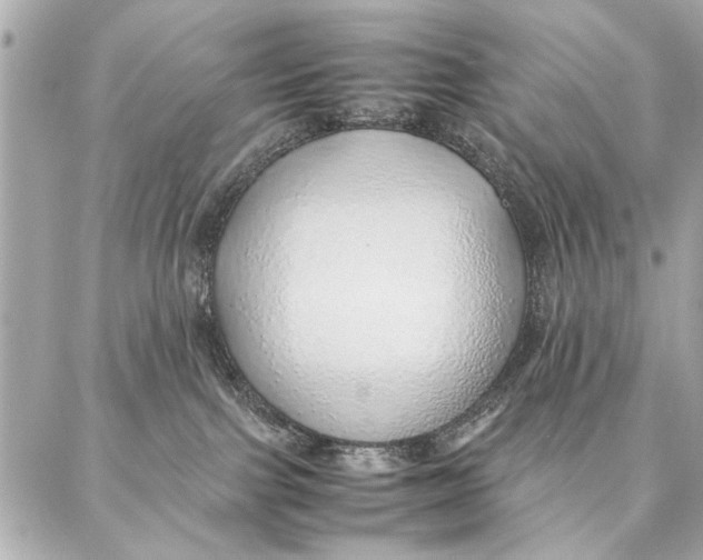 X0000087360091200705111656